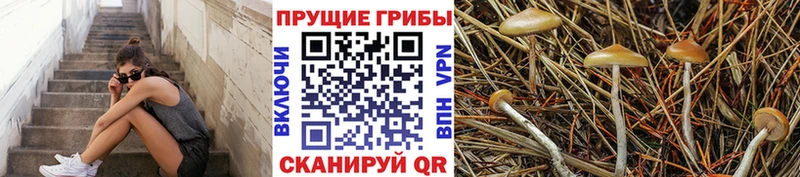 Галлюциногенные грибы Magic Shrooms  купить   площадка Telegram  Чёрмоз  blacksprut как зайти 